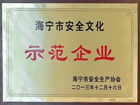 2013年度海寧市安全文化示范企業
